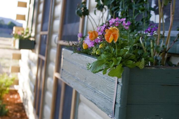 Terrace/Patio 96 of 107