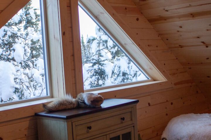 Denali Wild Stay