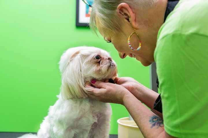 Pet Friendly 100 of 106