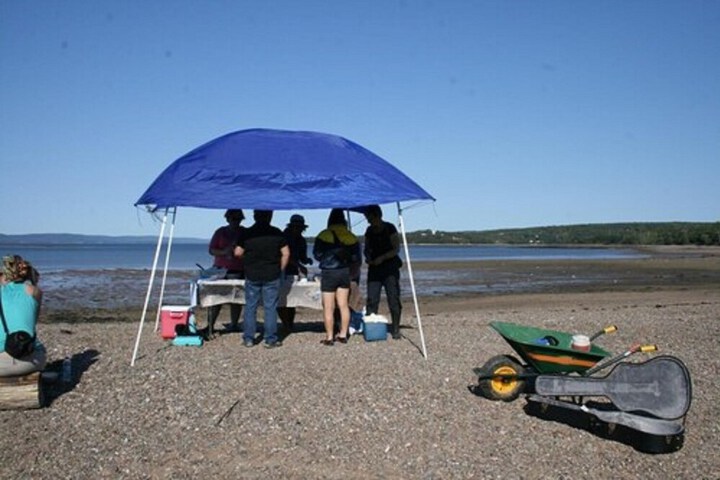 Gullivers Cove Oceanview Cottages