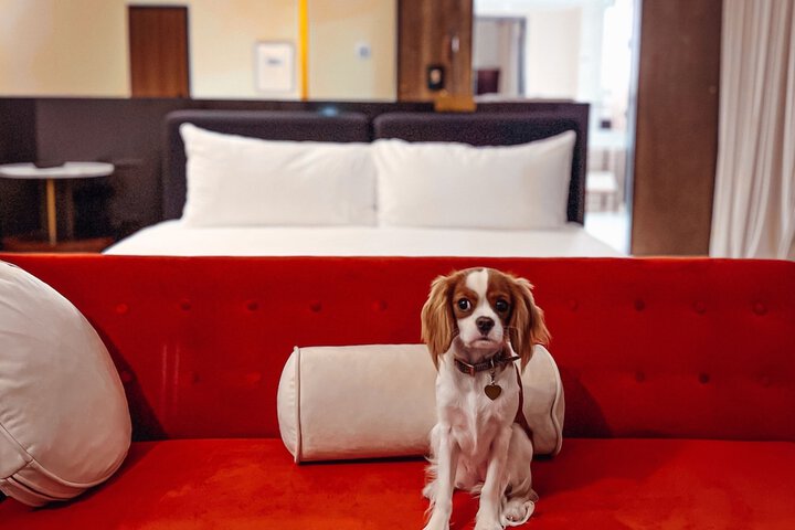 Hotel Haya
