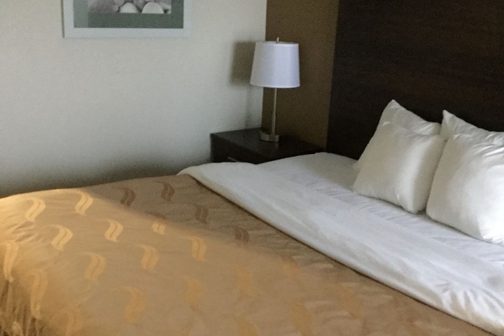 Quality Inn Arcola