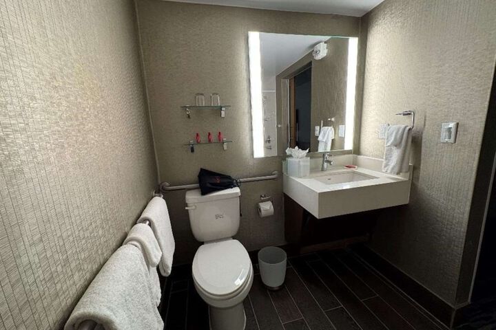Skyline Hotel Detroit Airport SureStay Collection by BW