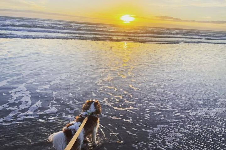 Beach 106 of 122