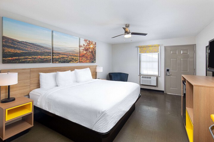 Room 41 of 62