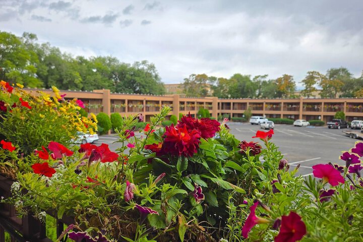 El Sendero Inn an Ascend Collection Hotel