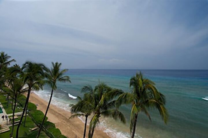 Beach 31 of 46