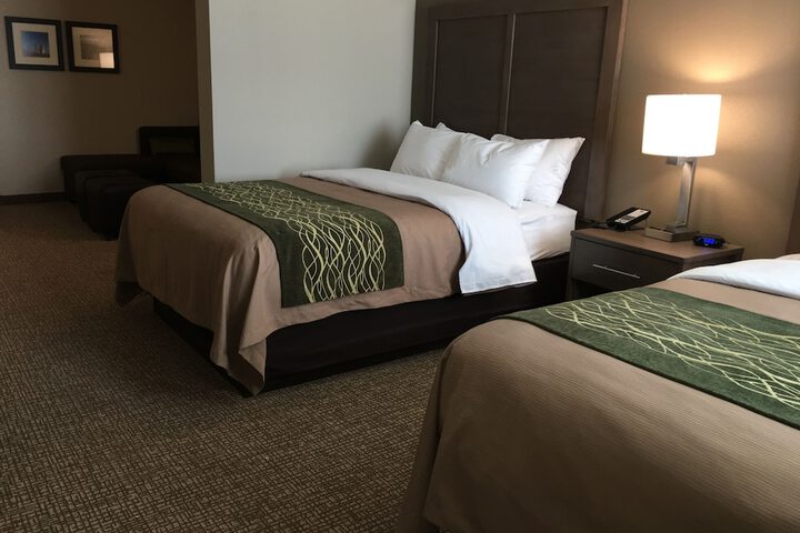 Comfort Inn & Suites Snyder