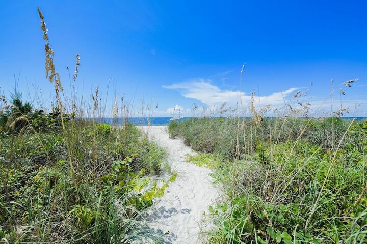 Beach 96 of 117
