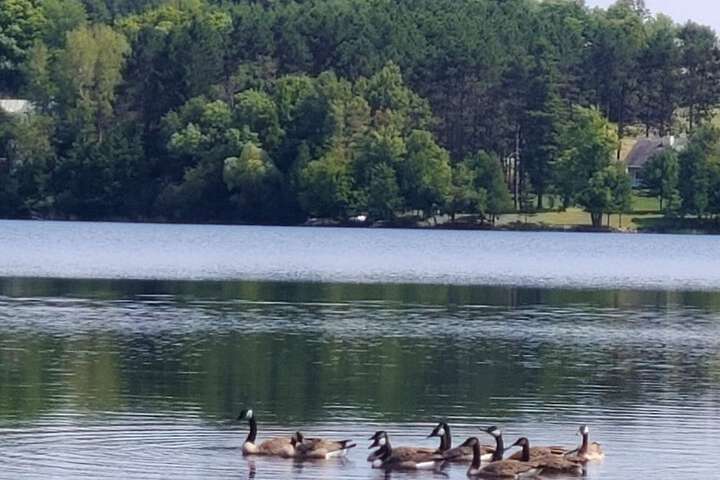 Lakeshore Motel Ice Lake