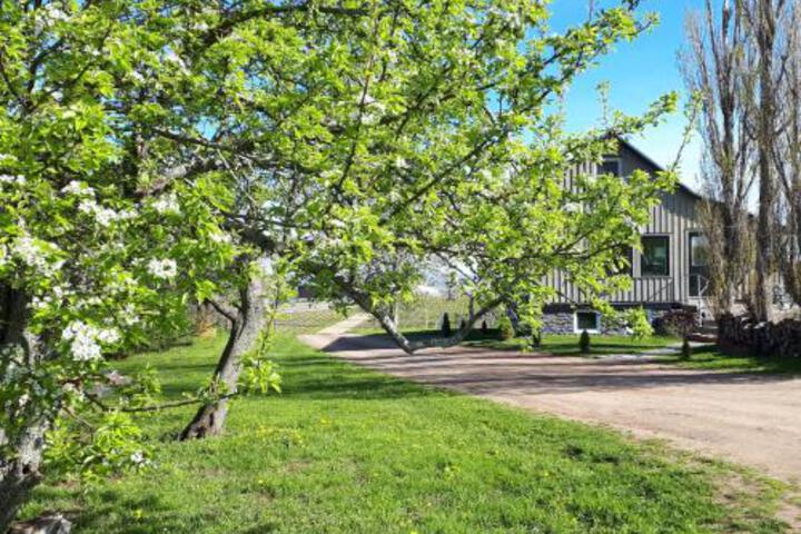 Raven Hill Vineyard
