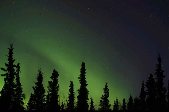Denali Wild Stay