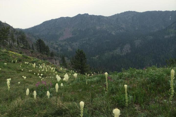 Silvertip Trailhead 2