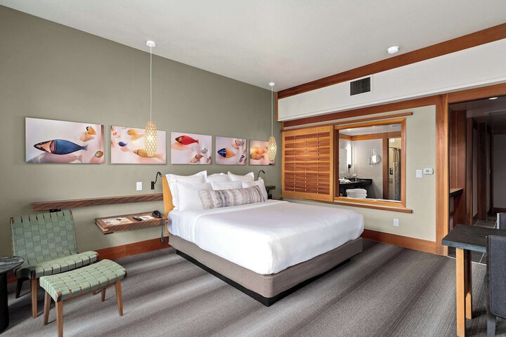 Room 33 of 67