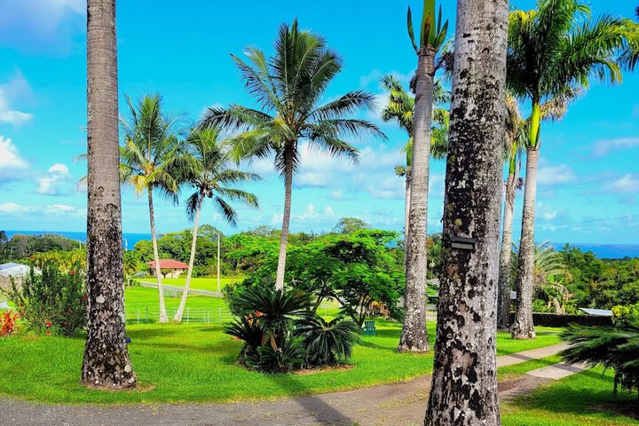 Island Goodes - Luxury Adults Only Accommodation
