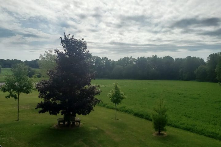 Property Grounds 23 of 23
