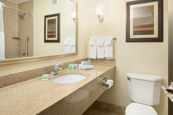 Holiday Inn Hotel & Suites Charleston West by IHG