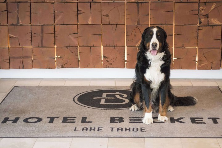 Hotel Becket BW Signature Collection
