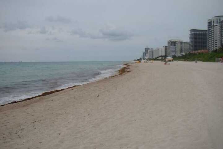 Casablanca by Design Suites Miami