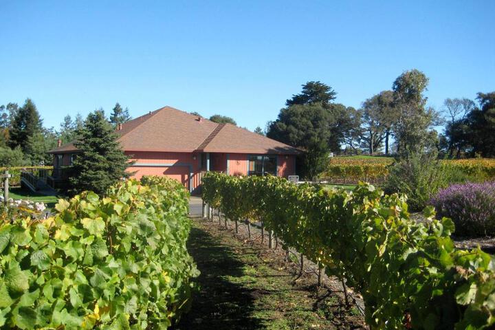 Pearlessence Vineyard Inn