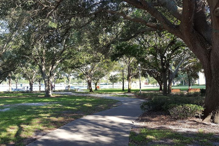 The Birchwood