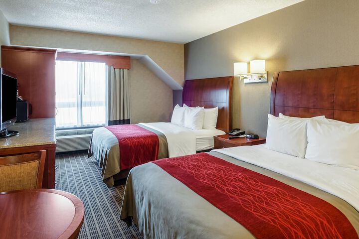 Comfort Inn & Suites West Springfield