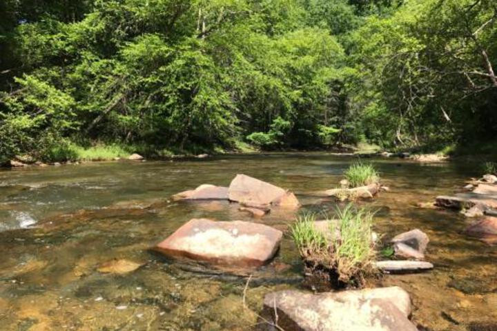 Knapps Creek Trout Lodge