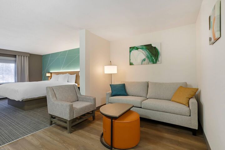 Comfort Inn & Suites Buford near Mall of Georgia