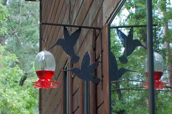 Upper Canyon Inn & Cabins
