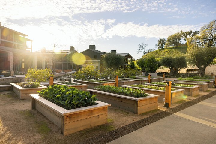 Appellation Healdsburg