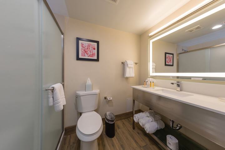 Holiday Inn Brookfield - ​​Milwaukee by IHG