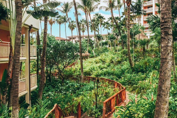 Grand Wailea Maui a Waldorf Astoria Resort