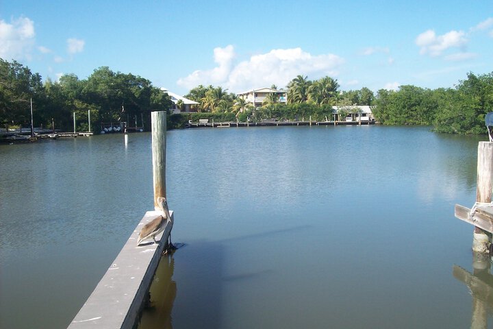 Property Grounds 52 of 54