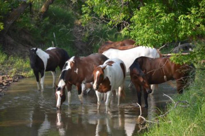 Kara Creek Ranch