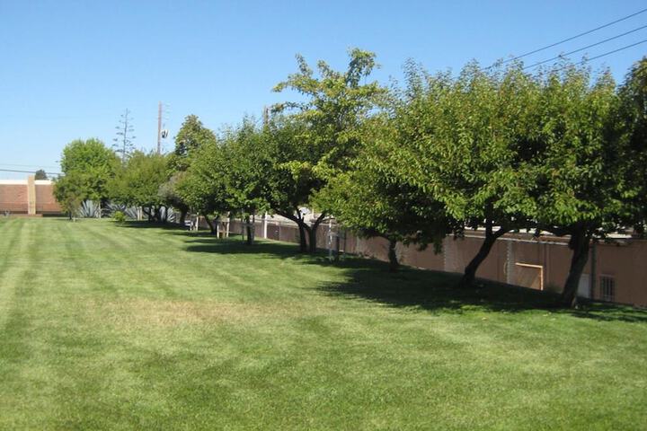 Property Grounds 32 of 33