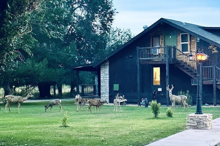 Moosehead Lodge & Cabins