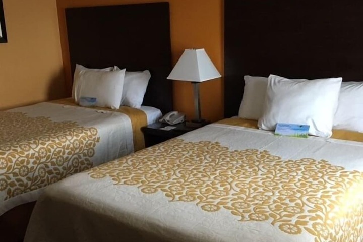 Room 50 of 65