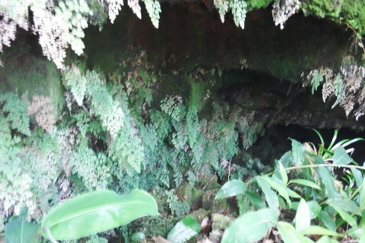 Aloha Crater Lodge