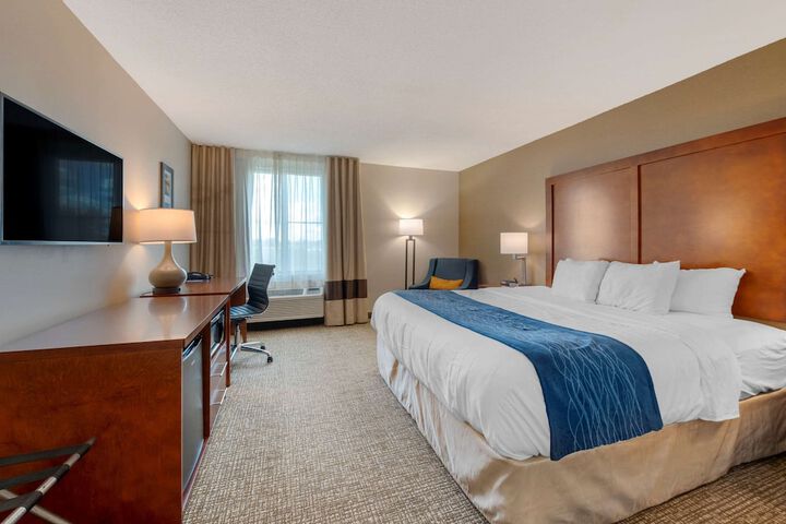 Comfort Inn Anderson South