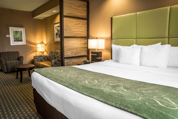 Comfort Suites New Bern near Cherry Point