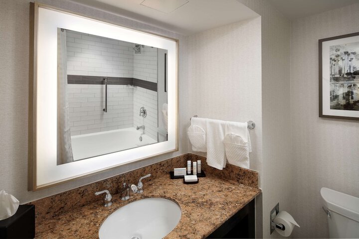 Embassy Suites by Hilton Tysons Corner