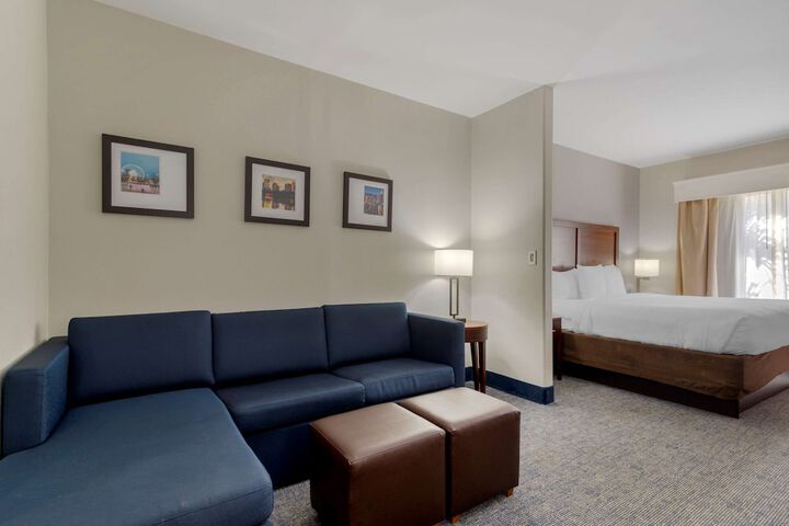 Comfort Suites Stockbridge Atlanta South