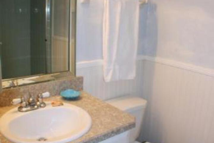 Anastasia Condominium 104