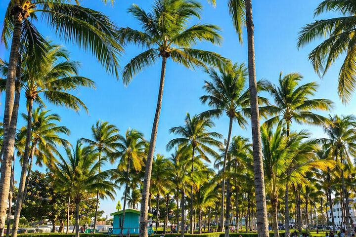 The Betsy - South Beach