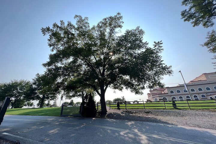 Hersey Farm Resort