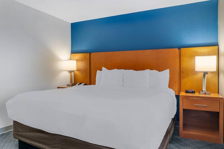 Comfort Suites Auburn Hills-Detroit