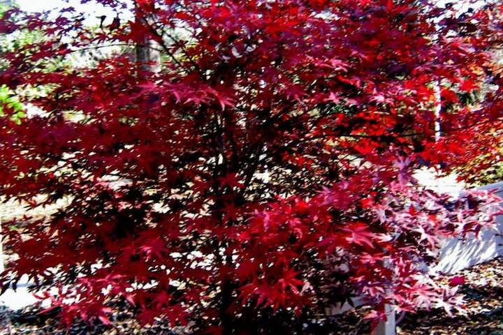 Property Grounds 18 of 19