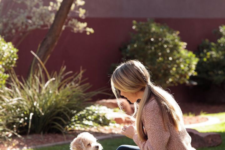 Pet Friendly 97 of 98
