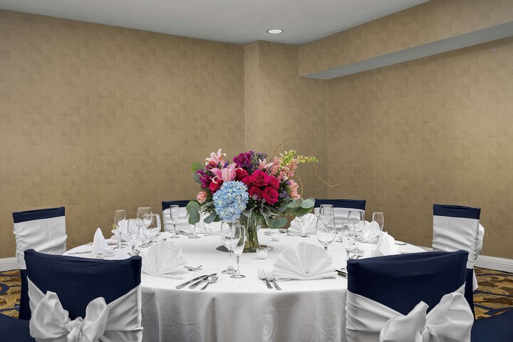 DoubleTree by Hilton Chicago OHare Airport - Rosemont