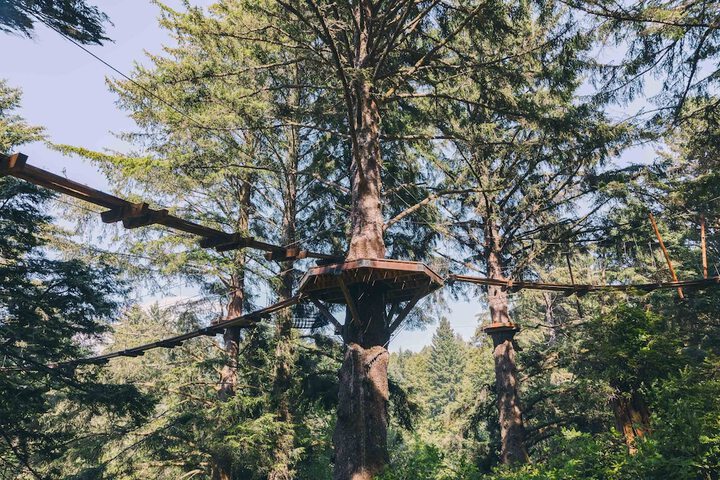 Salishan Coastal Lodge